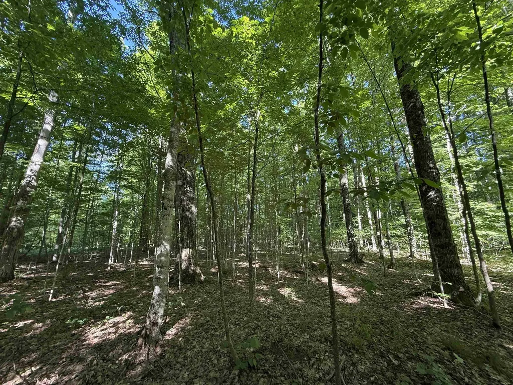 170 Kleehammer Club Drive Excelsior Township MI 49646
