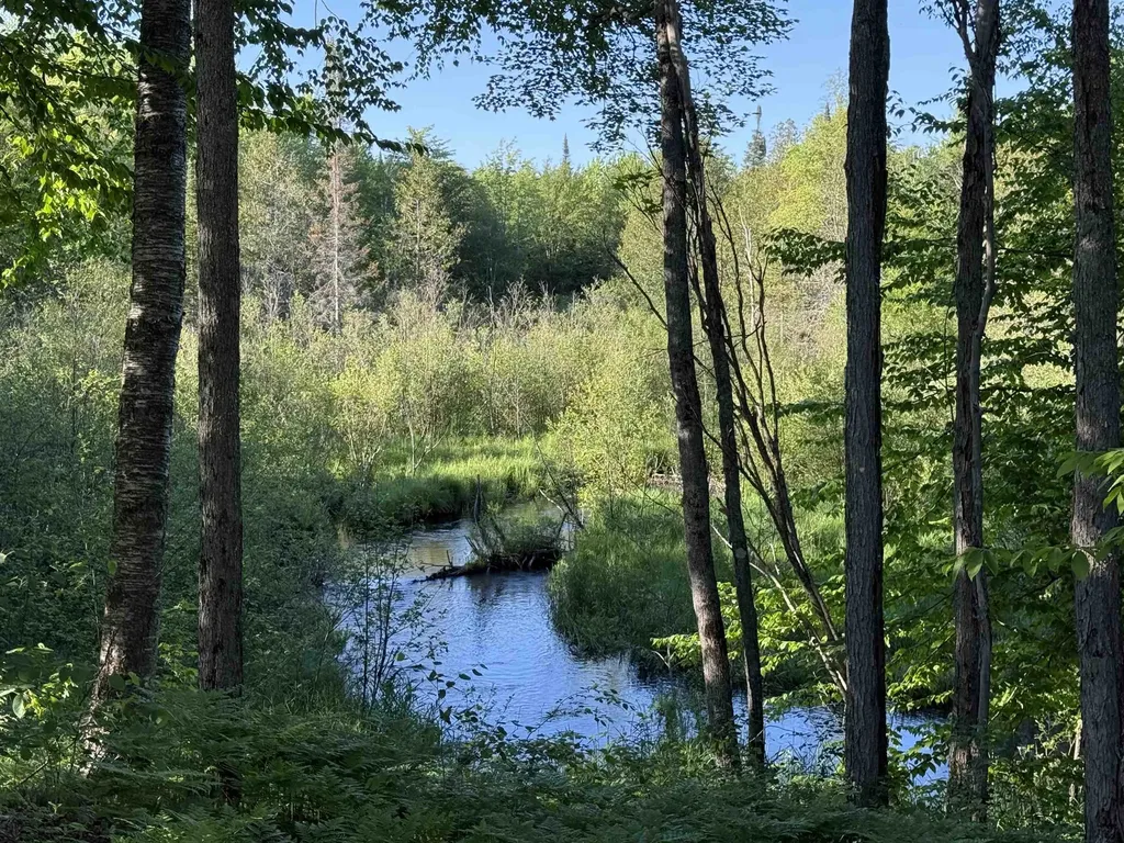 170 Kleehammer Club Drive Excelsior Township MI 49646