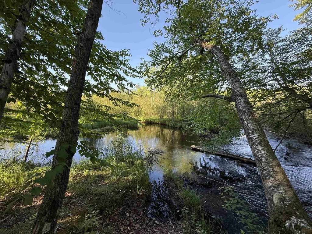 170 Kleehammer Club Drive Excelsior Township MI 49646