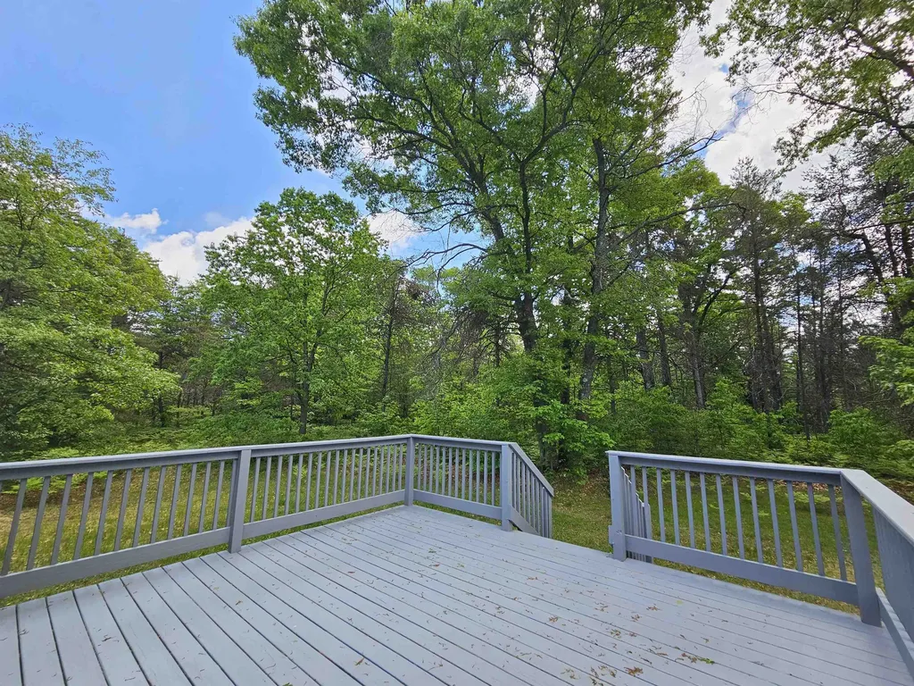 9733 W Jennings Road Lake Township MI 49651