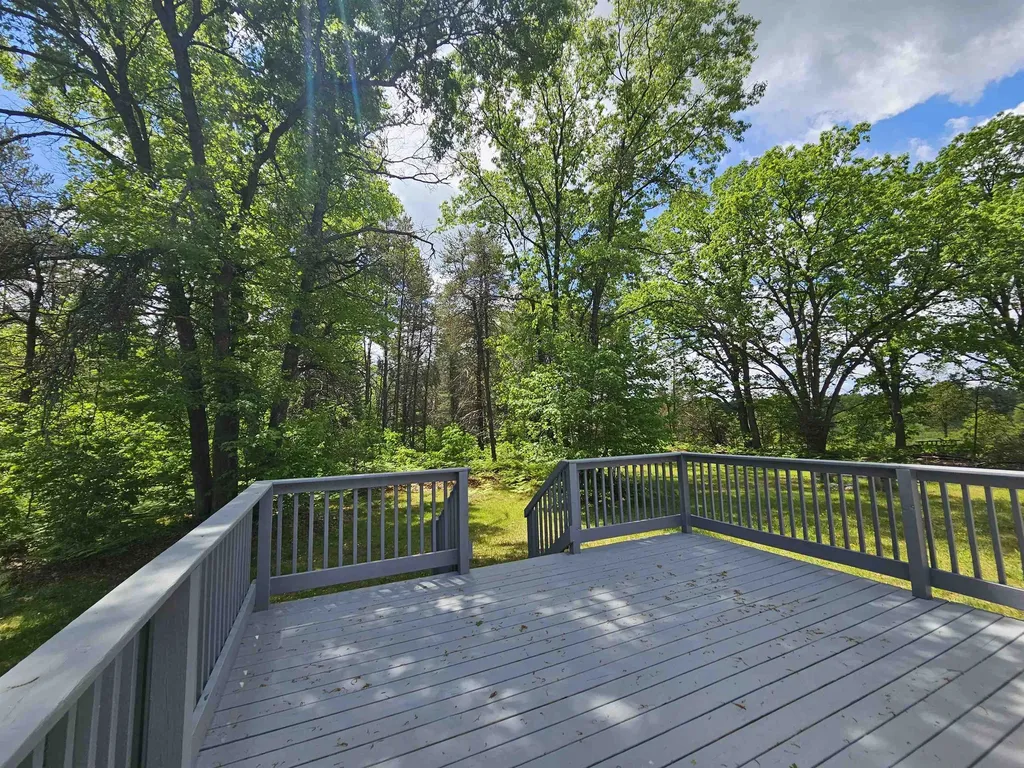 9733 W Jennings Road Lake Township MI 49651