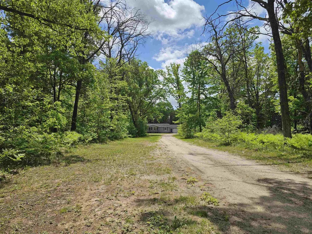 9733 W Jennings Road Lake Township MI 49651