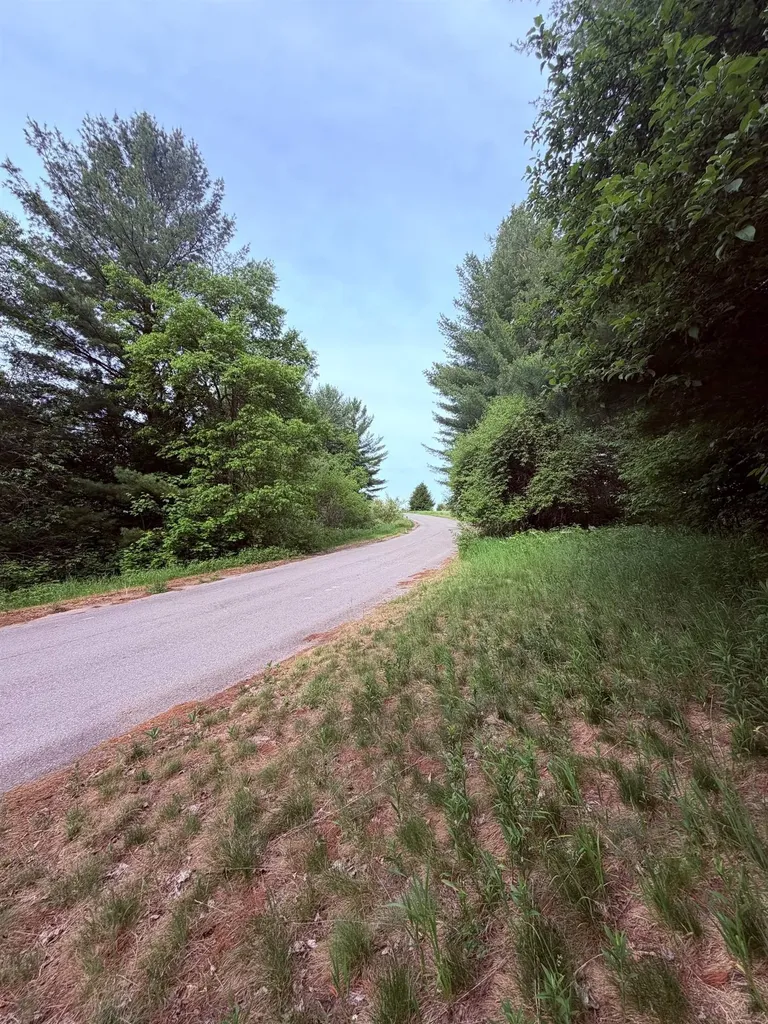 Unit 11 Kadi Lane Almira Township MI 49650