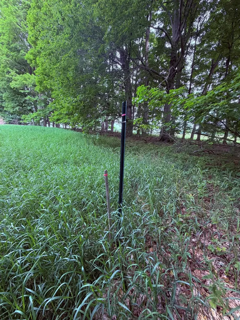 Unit 11 Kadi Lane Almira Township MI 49650