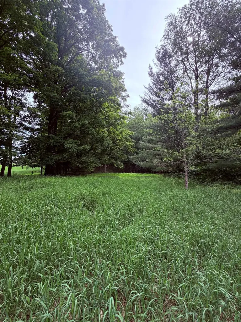 Unit 11 Kadi Lane Almira Township MI 49650