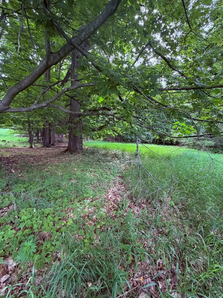 Unit 11 Kadi Lane Almira Township MI 49650