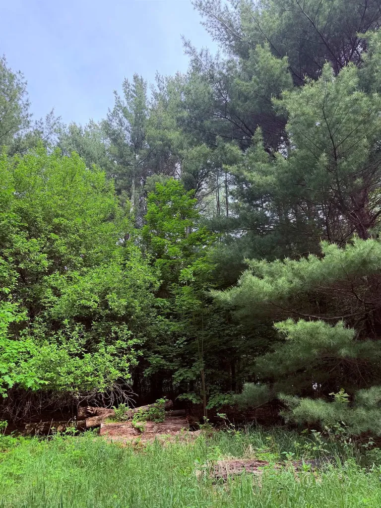 Unit 11 Kadi Lane Almira Township MI 49650