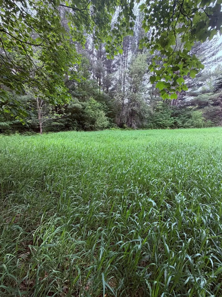 Unit 11 Kadi Lane Almira Township MI 49650