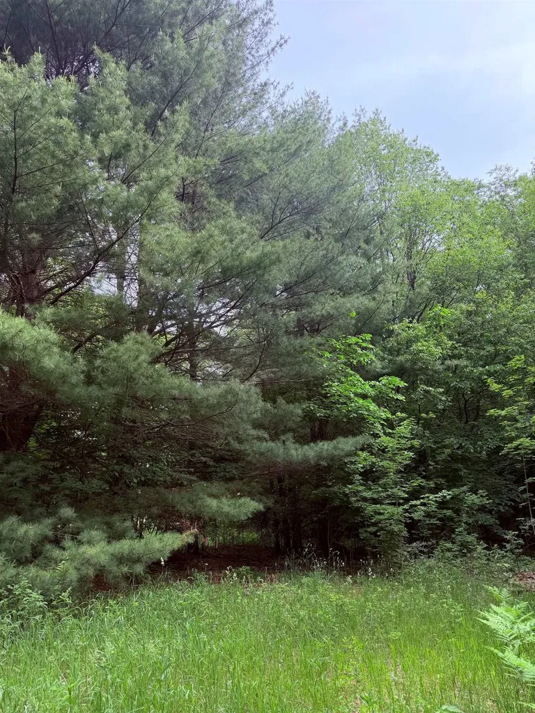 Unit 11 Kadi Lane Almira Township MI 49650