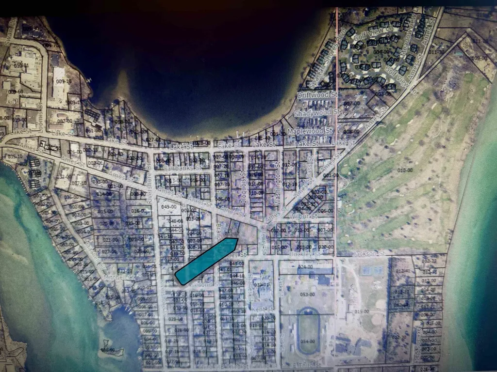 60 Ames Street Elk Rapids Township MI 49629