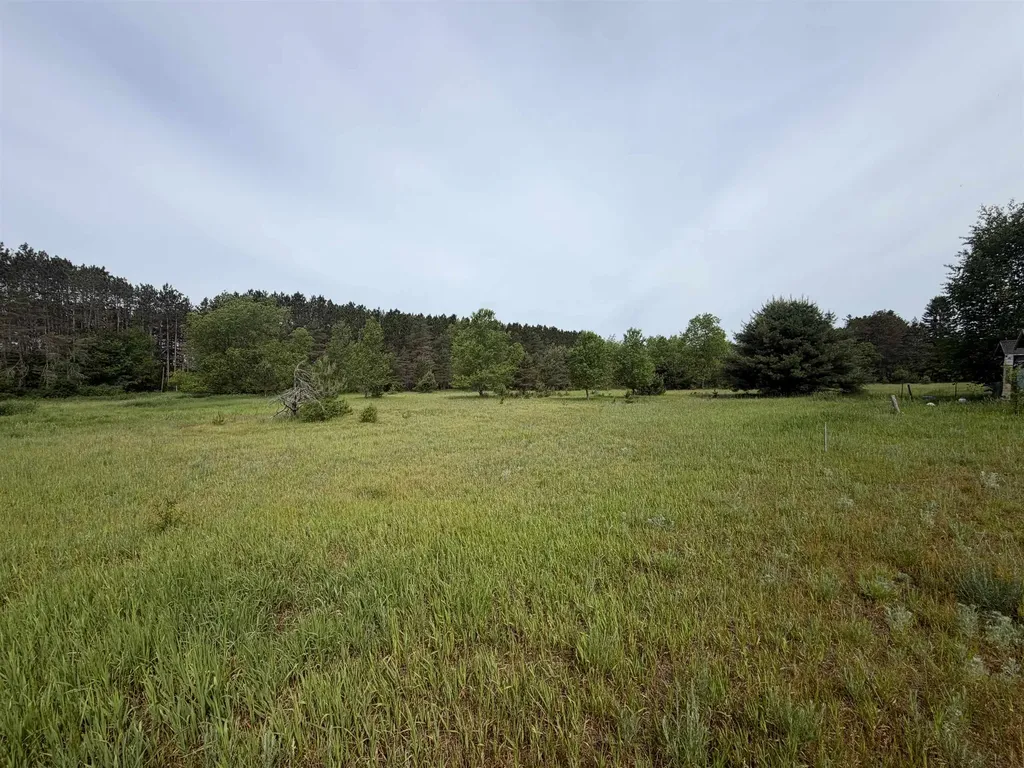 00 Pearl Street Colfax Township MI 49683