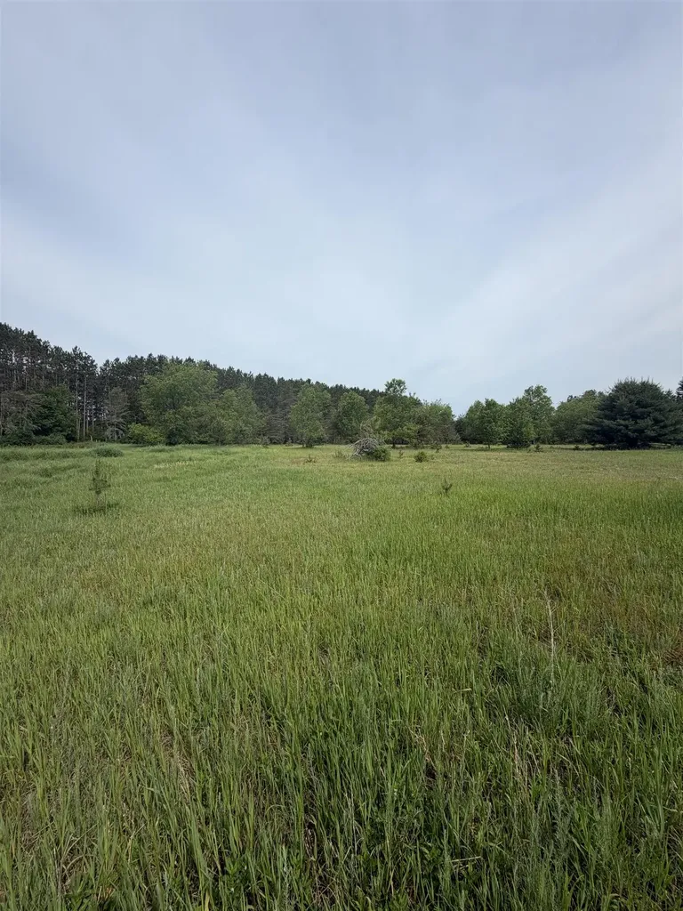 00 Pearl Street Colfax Township MI 49683