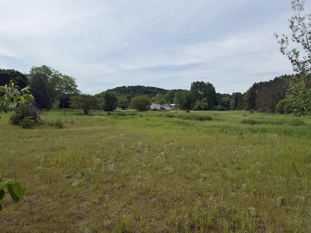 00 Pearl Street Colfax Township MI 49683