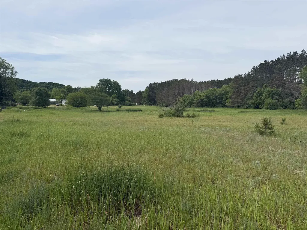 00 Pearl Street Colfax Township MI 49683