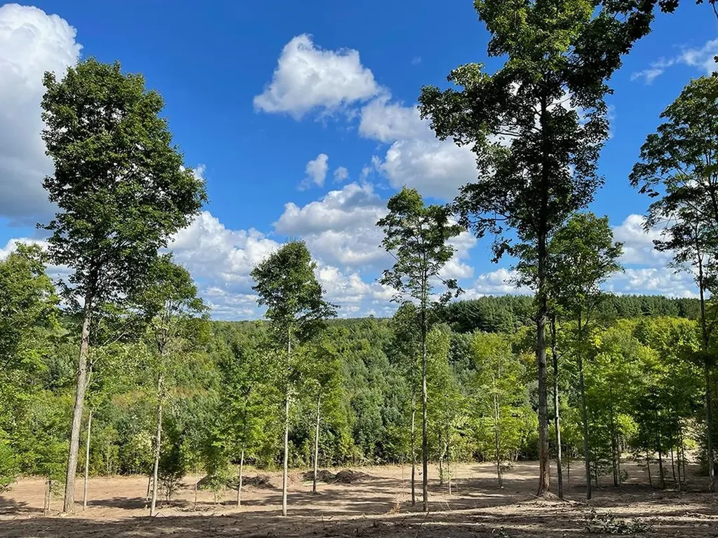 5155 Paradise Ranch Paradise Township MI 49649