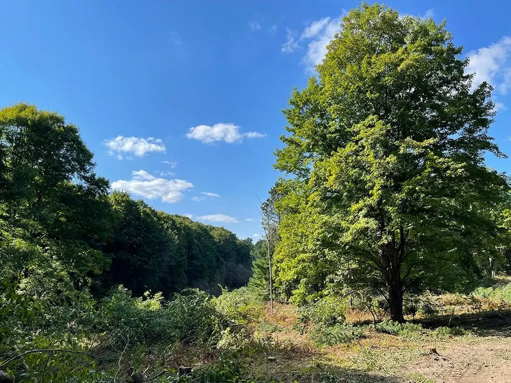 5155 Paradise Ranch Paradise Township MI 49649