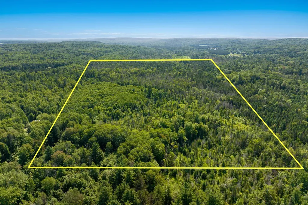00 Aero Park Drive Kearney Township MI 49615