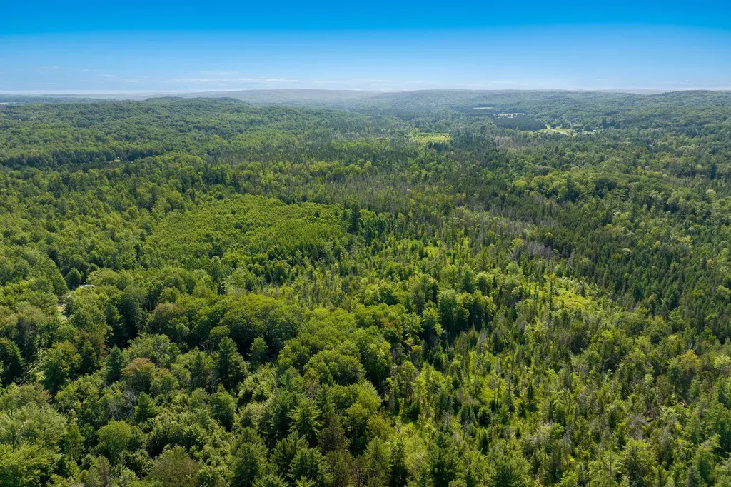 00 Aero Park Drive Kearney Township MI 49615