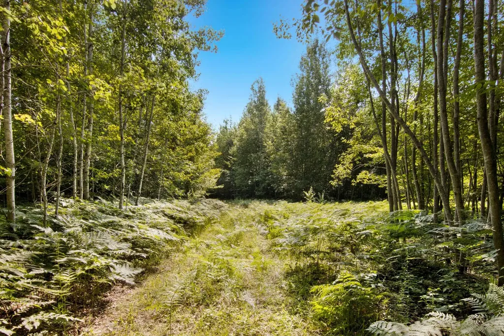 00 Aero Park Drive Kearney Township MI 49615