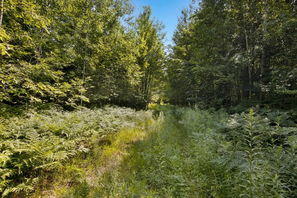 00 Aero Park Drive Kearney Township MI 49615