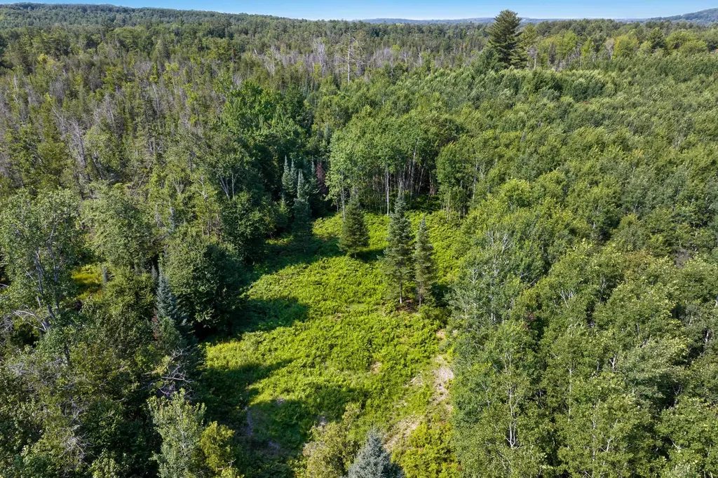00 Aero Park Drive Kearney Township MI 49615