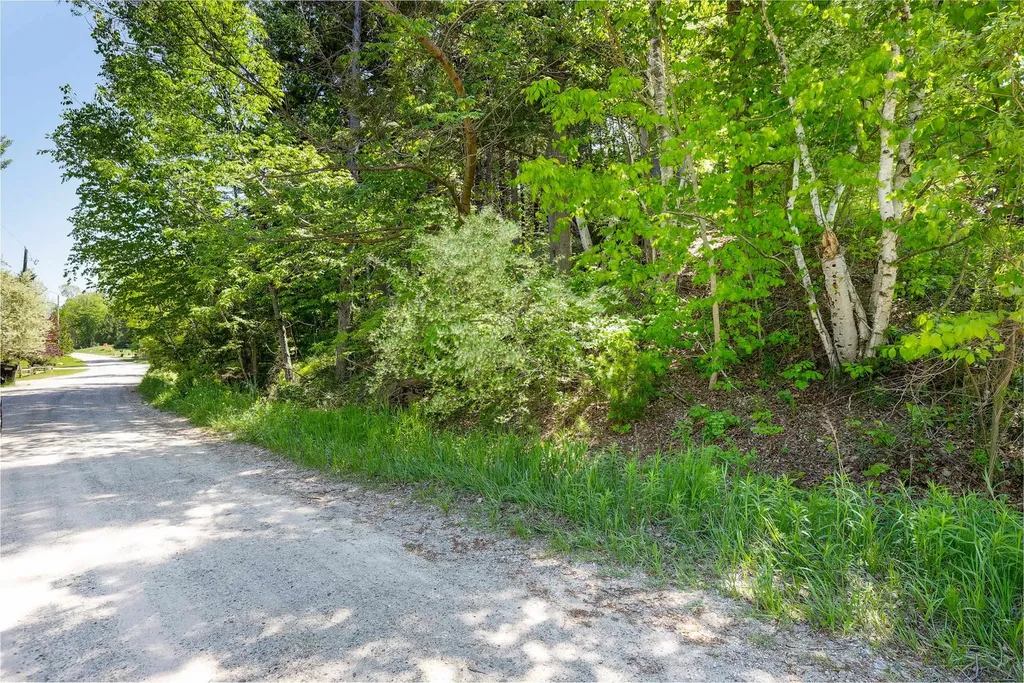 5493 Indian Trail Blaine Township MI 49635