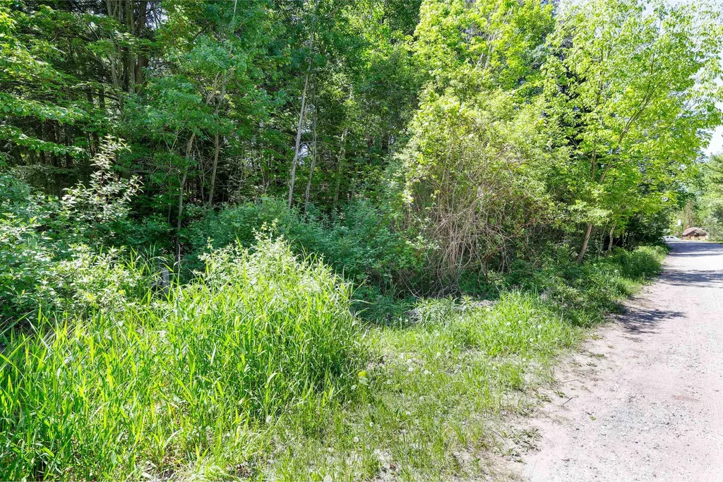 5493 Indian Trail Blaine Township MI 49635
