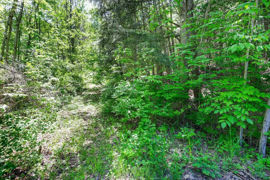 5493 Indian Trail Blaine Township MI 49635