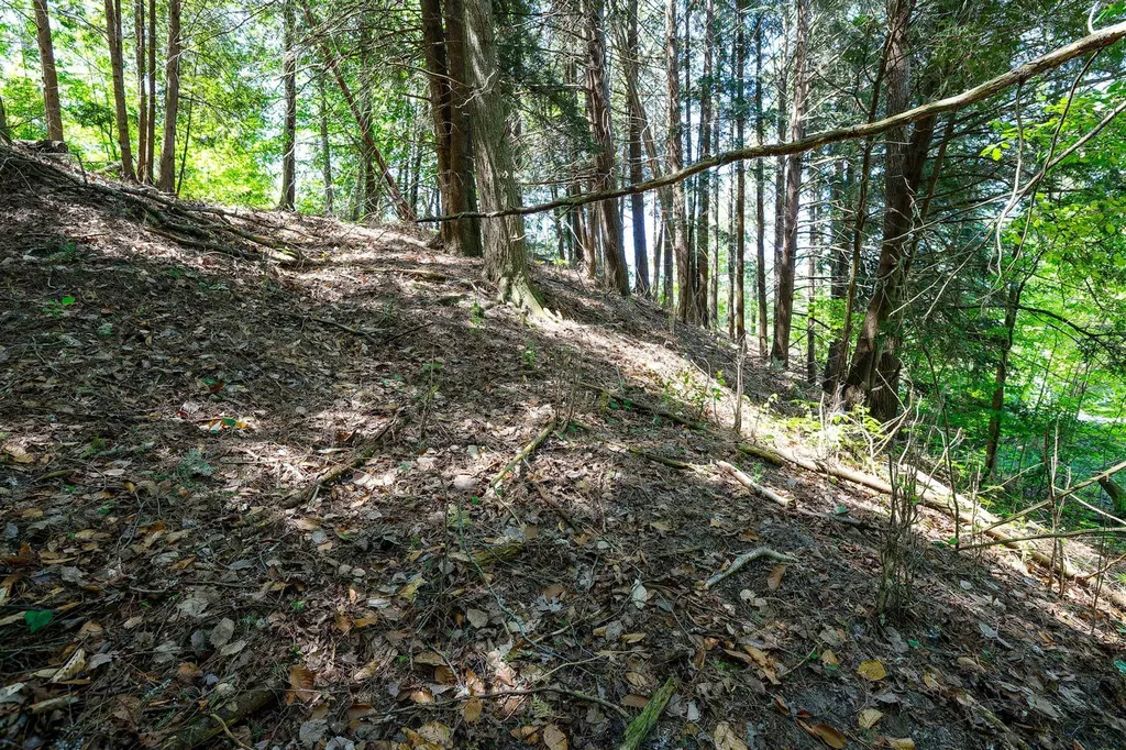 5493 Indian Trail Blaine Township MI 49635