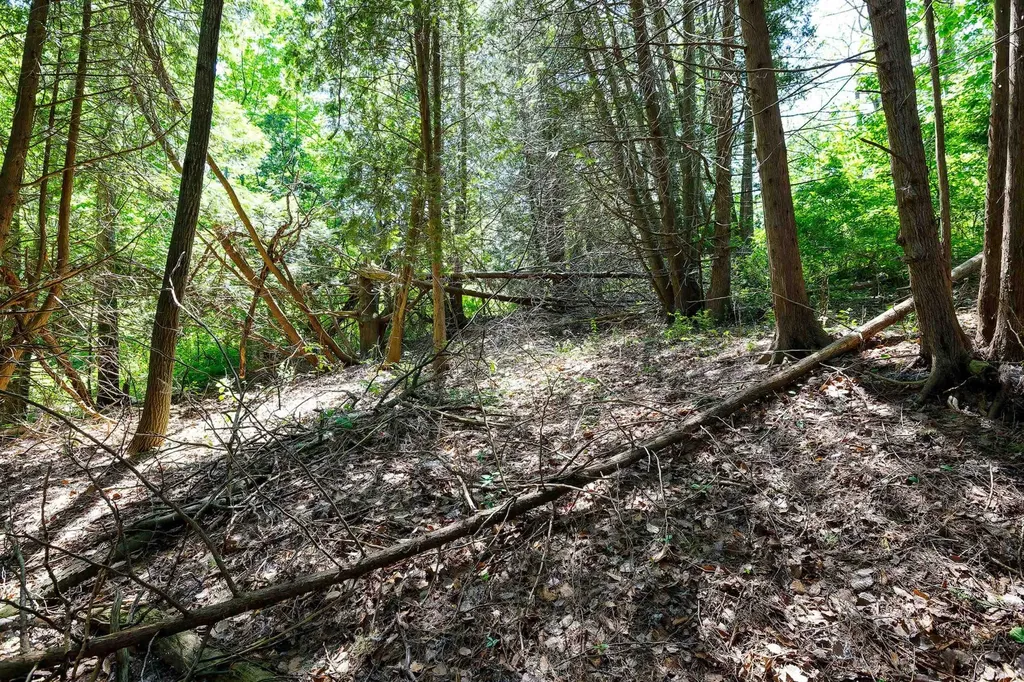5493 Indian Trail Blaine Township MI 49635