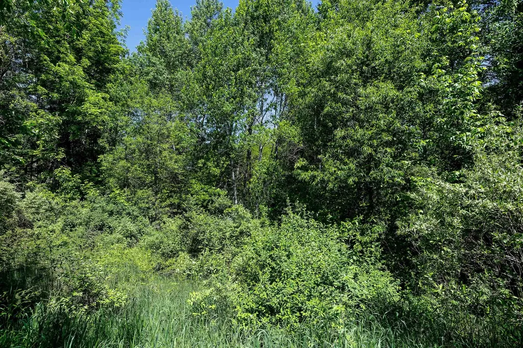5493 Indian Trail Blaine Township MI 49635