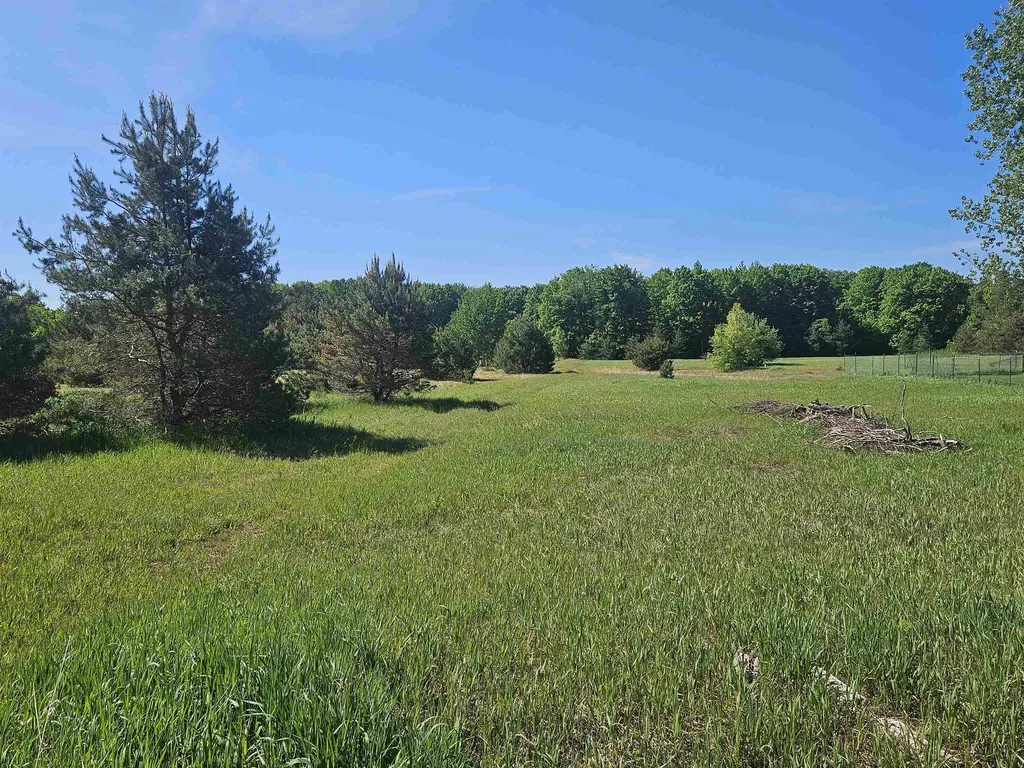 V/l Parcel C SE Grass Lake Road Excelsior Township MI 49646
