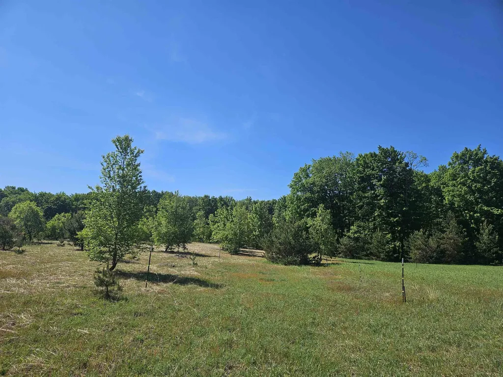 V/l Parcel C SE Grass Lake Road Excelsior Township MI 49646