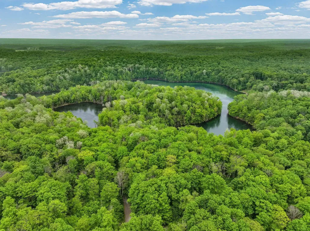 Lost Lake Trail Custer Township MI 49659