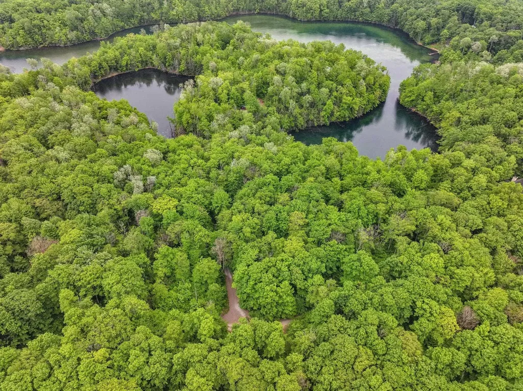 Lost Lake Trail Custer Township MI 49659