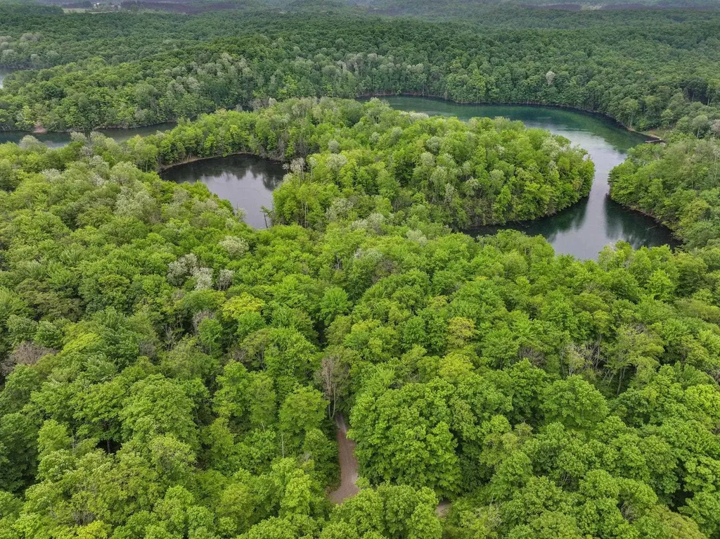 Lost Lake Trail Custer Township MI 49659
