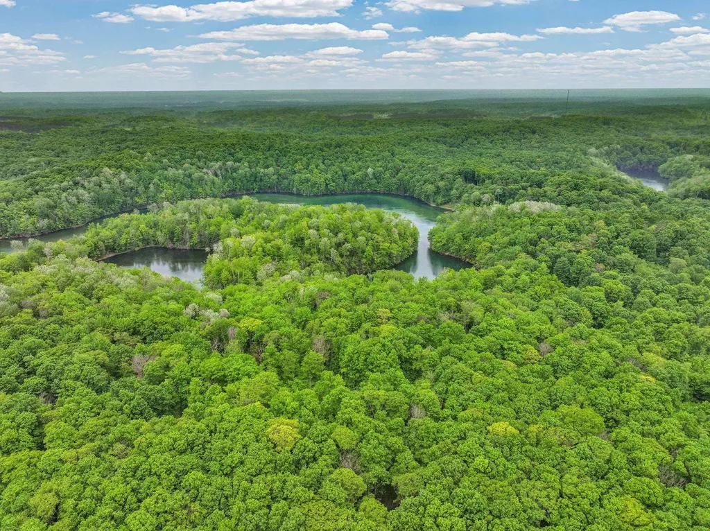 Lost Lake Trail Custer Township MI 49659