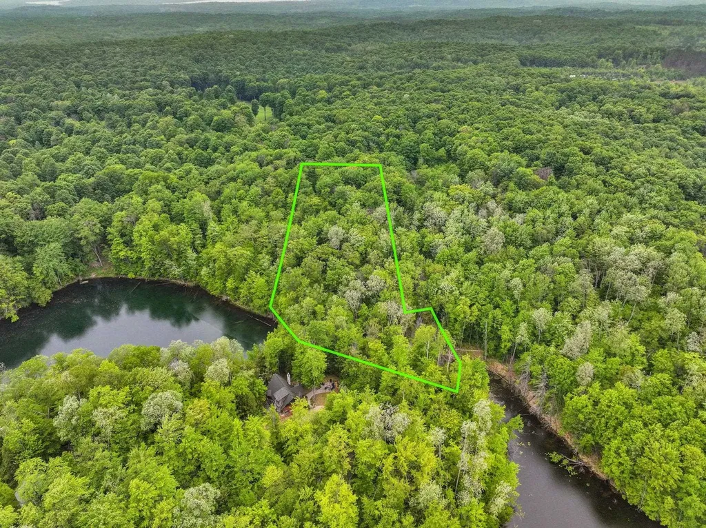 Lost Lake Trail Custer Township MI 49659