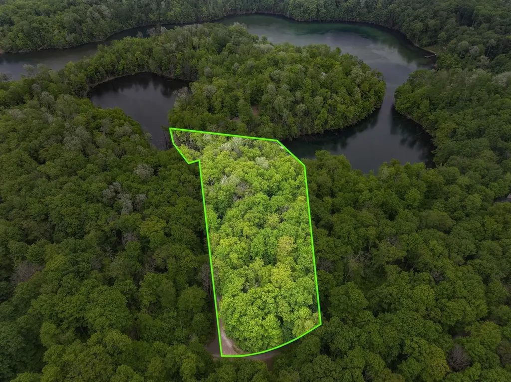 Lost Lake Trail Custer Township MI 49659