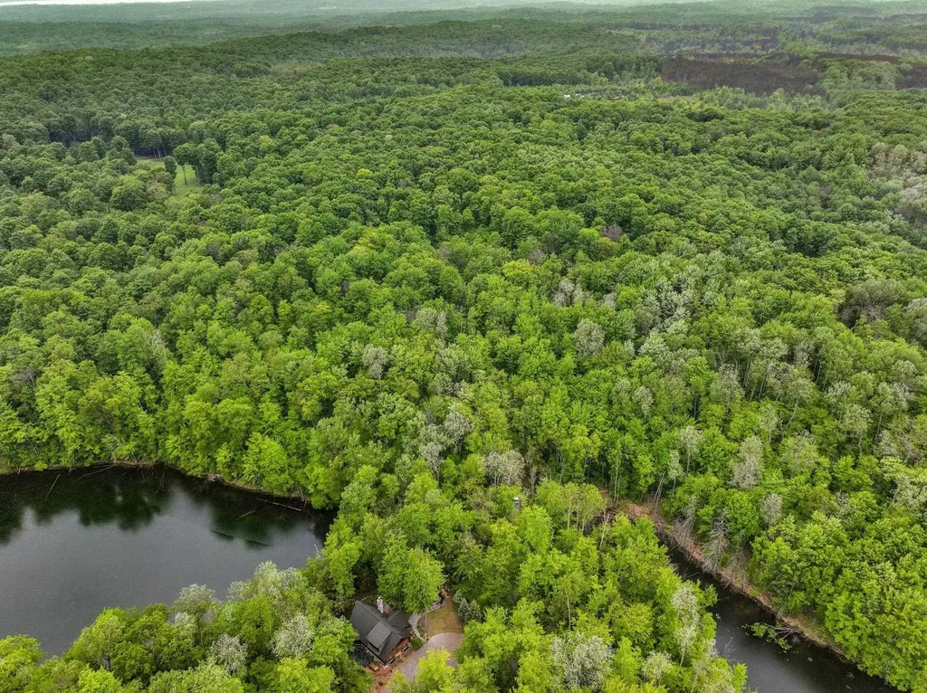 Lost Lake Trail Custer Township MI 49659