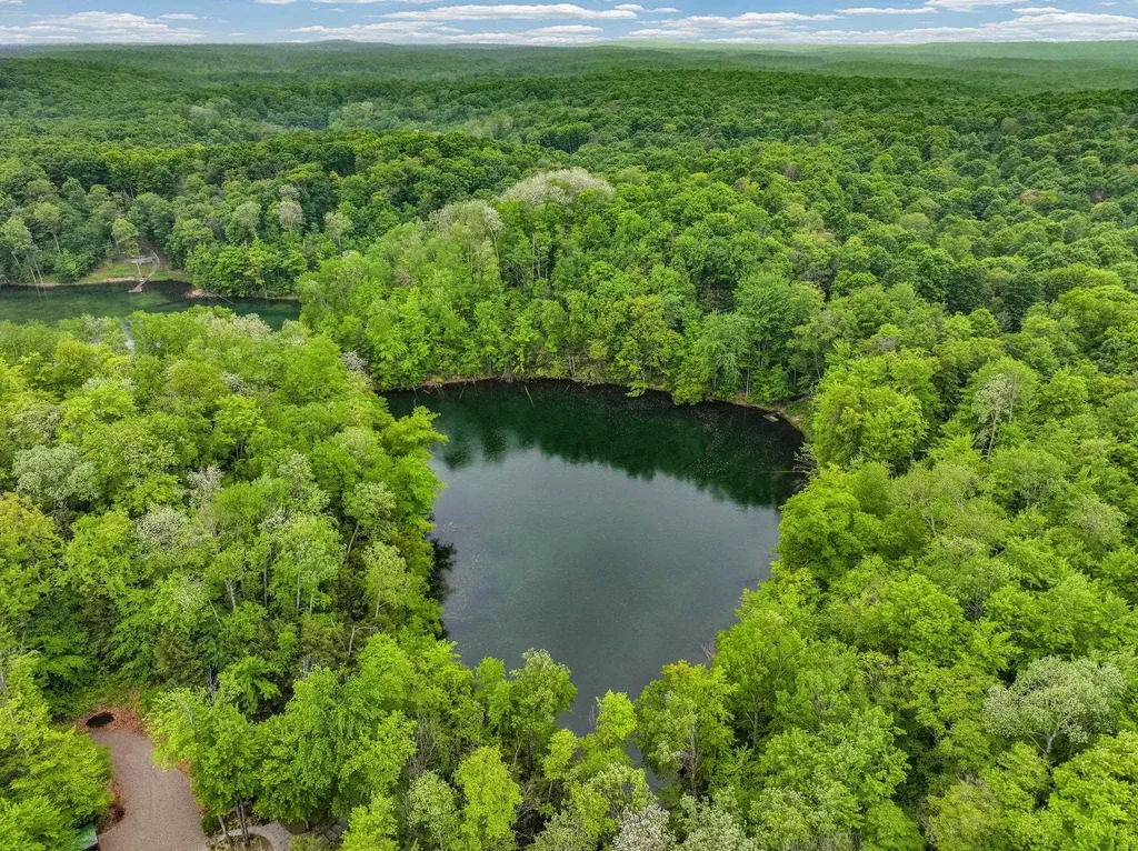 Lost Lake Trail Custer Township MI 49659