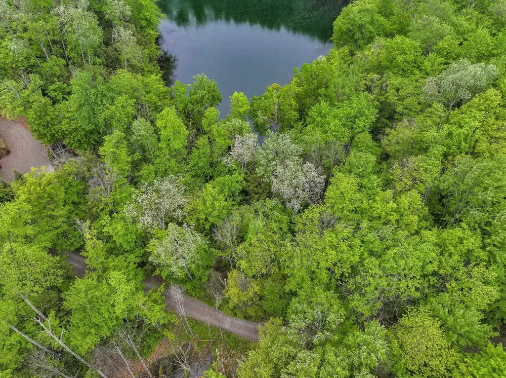 Lost Lake Trail Custer Township MI 49659