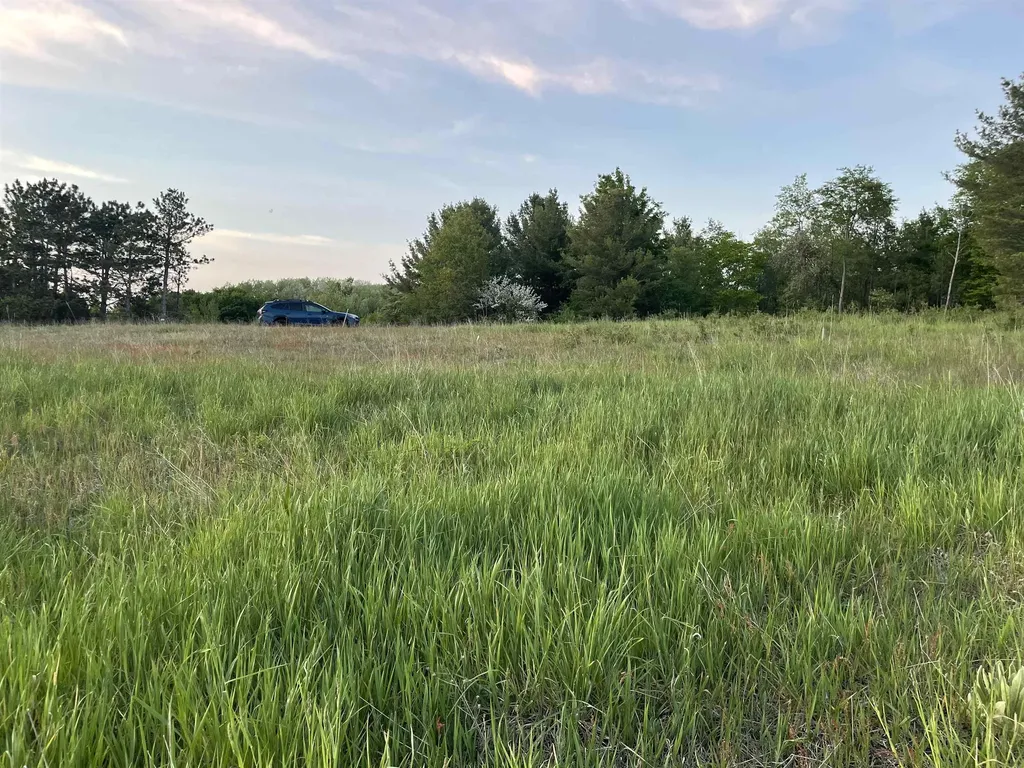 11103 S Crimson Way Empire Township MI 49630
