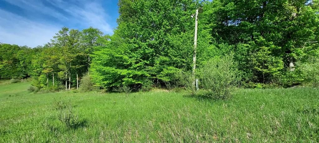 C N Crossover Drive Kearney Township MI 49615