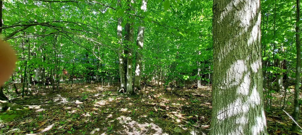 C N Crossover Drive Kearney Township MI 49615