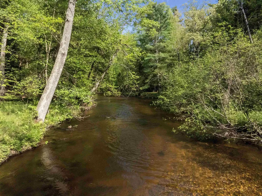 8088 N Roberts Road Elk Township MI 49644