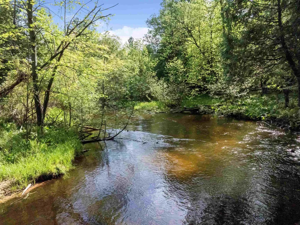 8088 N Roberts Road Elk Township MI 49644