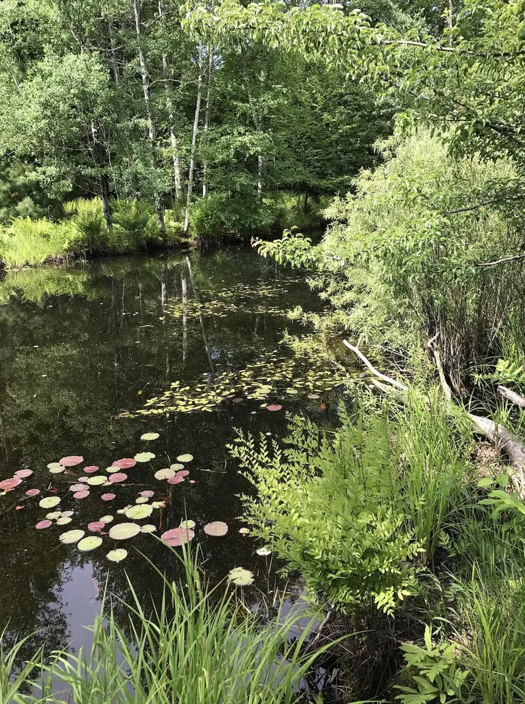 00 W Deborah Ann Trail Empire Township MI 49630