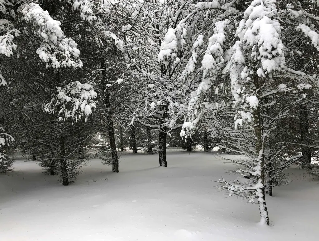 00 W Deborah Ann Trail Empire Township MI 49630
