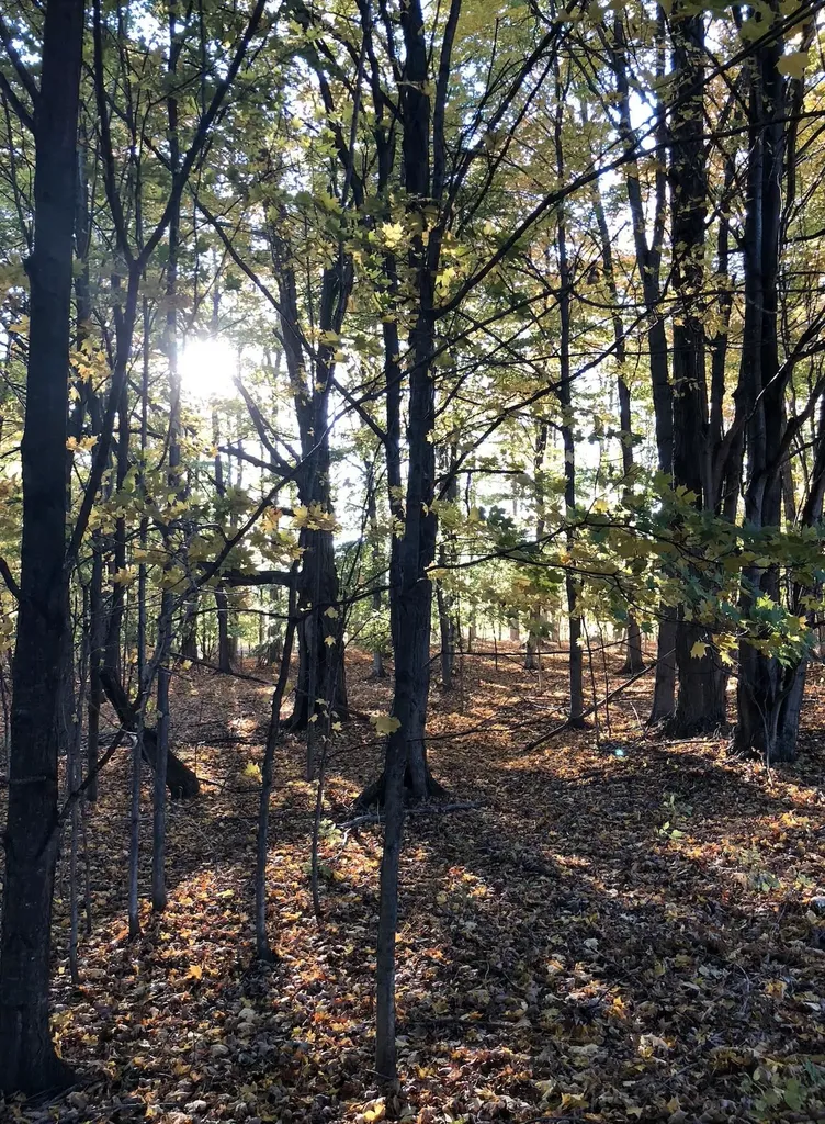 00 W Deborah Ann Trail Empire Township MI 49630